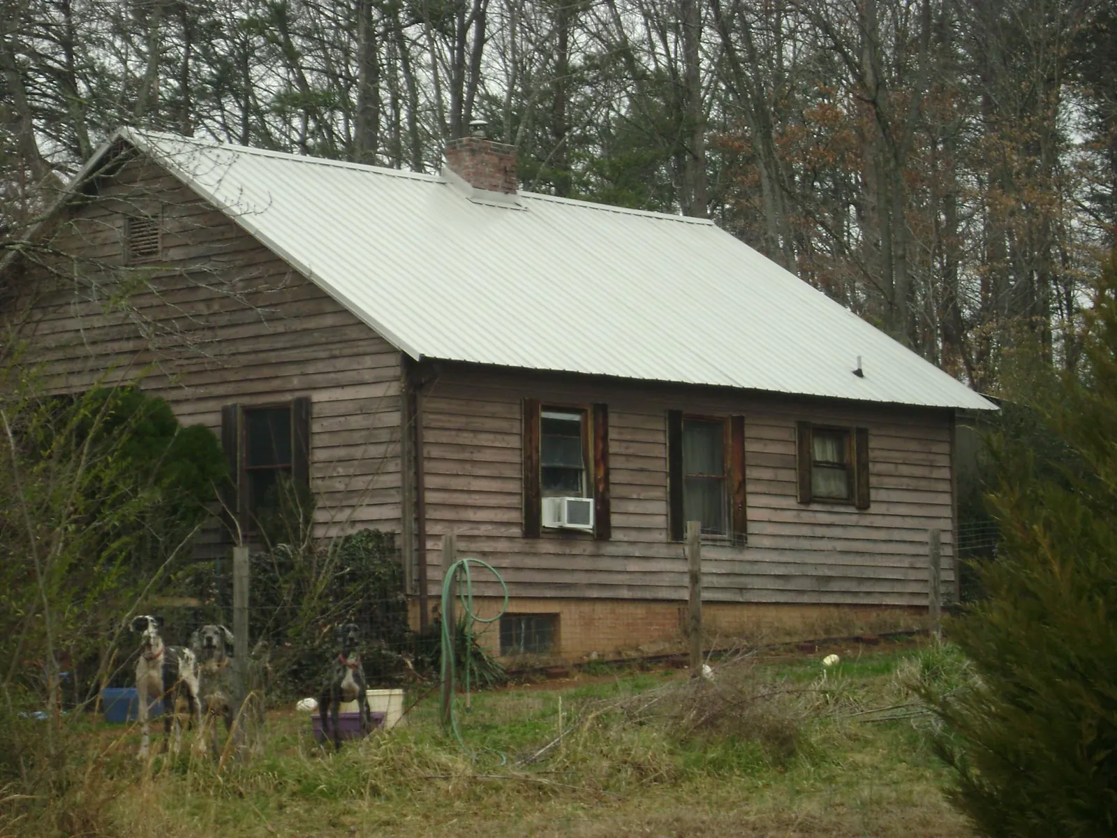 White metal roof on an old wood sided farmhouse, from a Asphalt Shingle Roof Repair job in Steens
